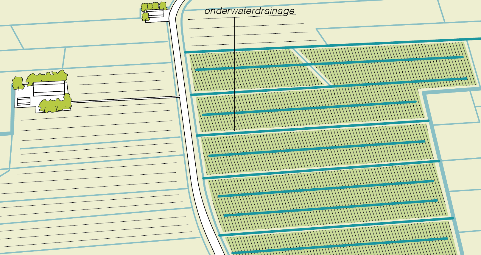 Illustratie van een landschap met een boerderij en weilanden met sloten erin en voorzien van onderwaterdrainage